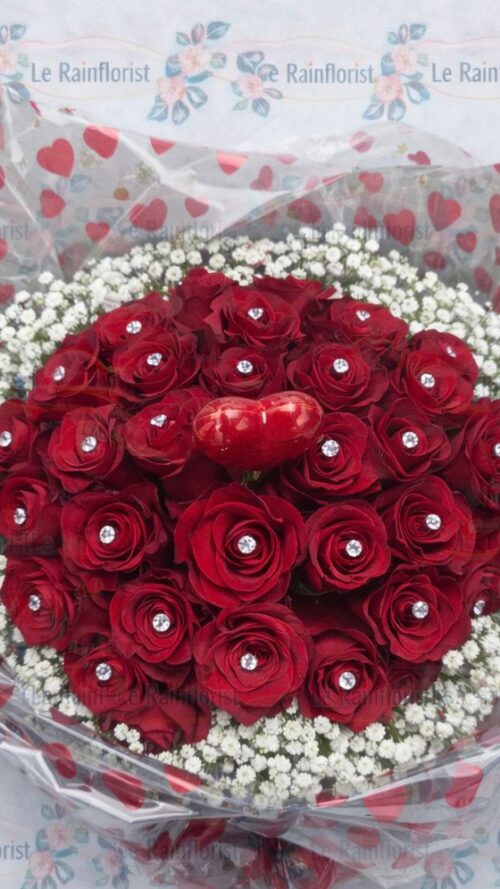 Luxury 30 Red Roses with Gypsophila Collar